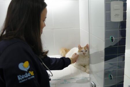 Medicina Veterinária em Caruaru Medicina Veterinária em Caruaru