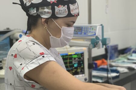 Anestesia Veterinária em Caruaru