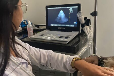 Medicina Veterinária em Caruaru Medicina Veterinária em Caruaru