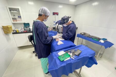 Cirurgia Veterinária em Caruaru