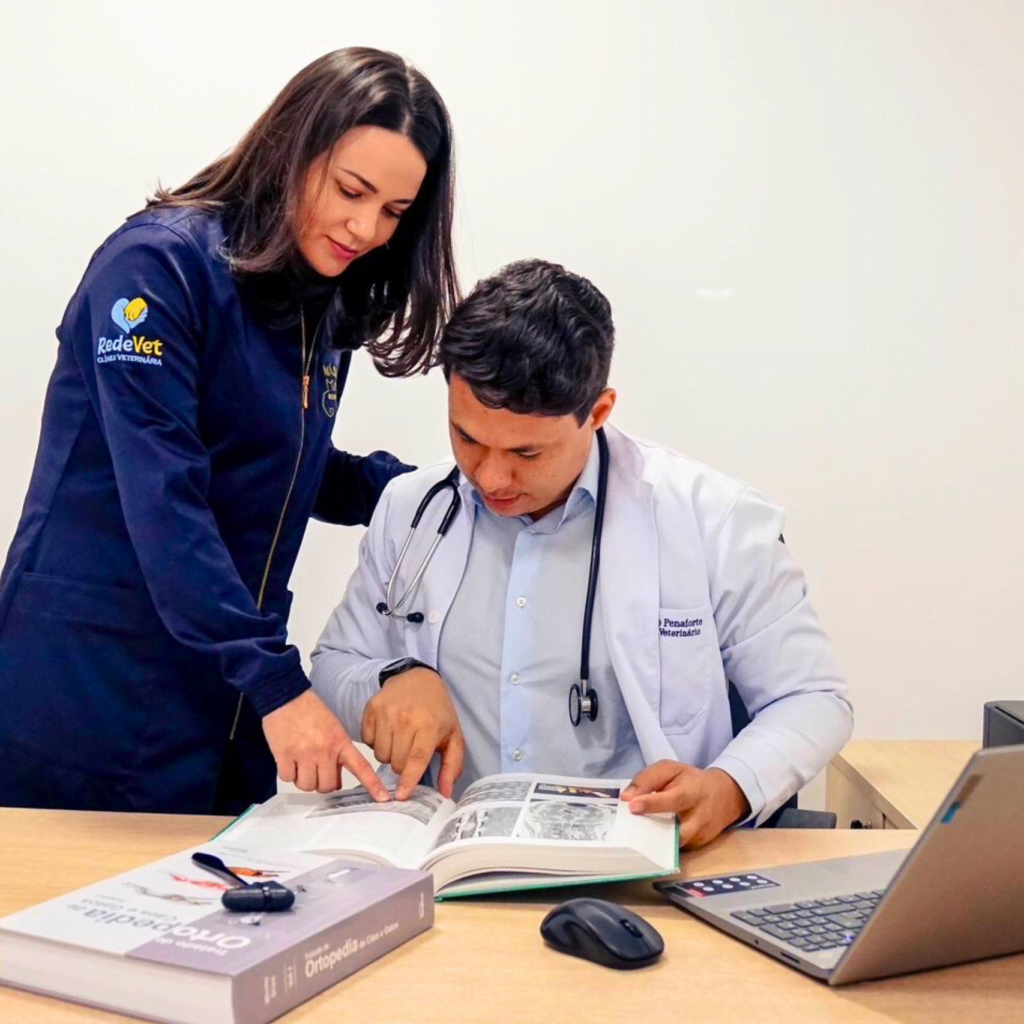 Consultas veterinárias