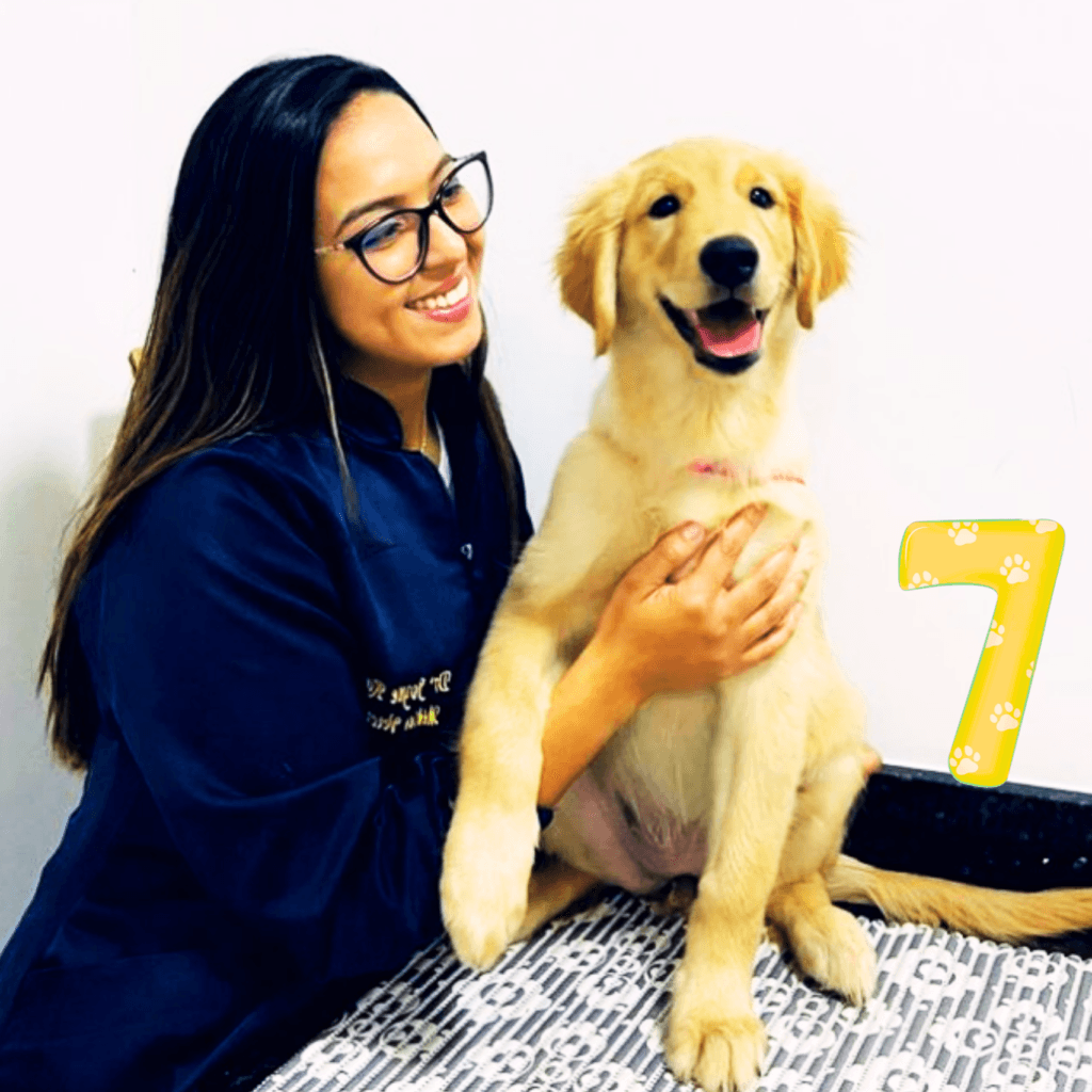 7 Motivos para Visitar o Veterinário Regularmente