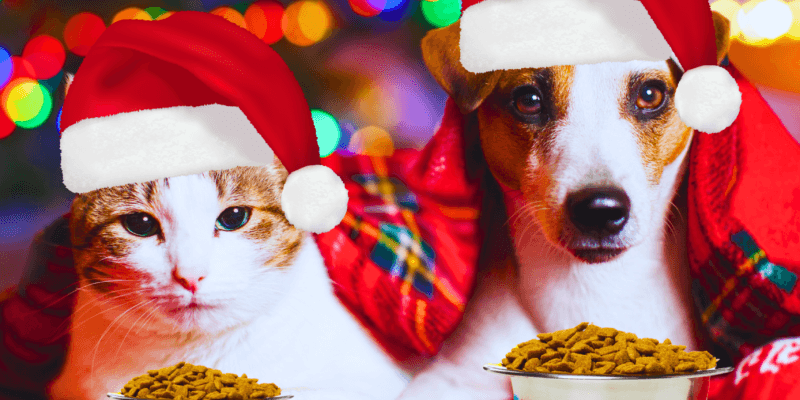 7 Alimentos Proibidos para os Pets na Ceia de Natal
