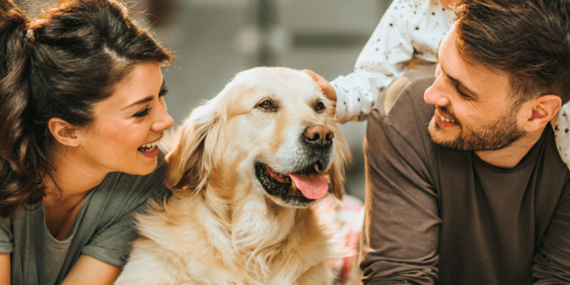 5 Motivos para Começar o Ano Cuidando da Saúde do Seu Pet