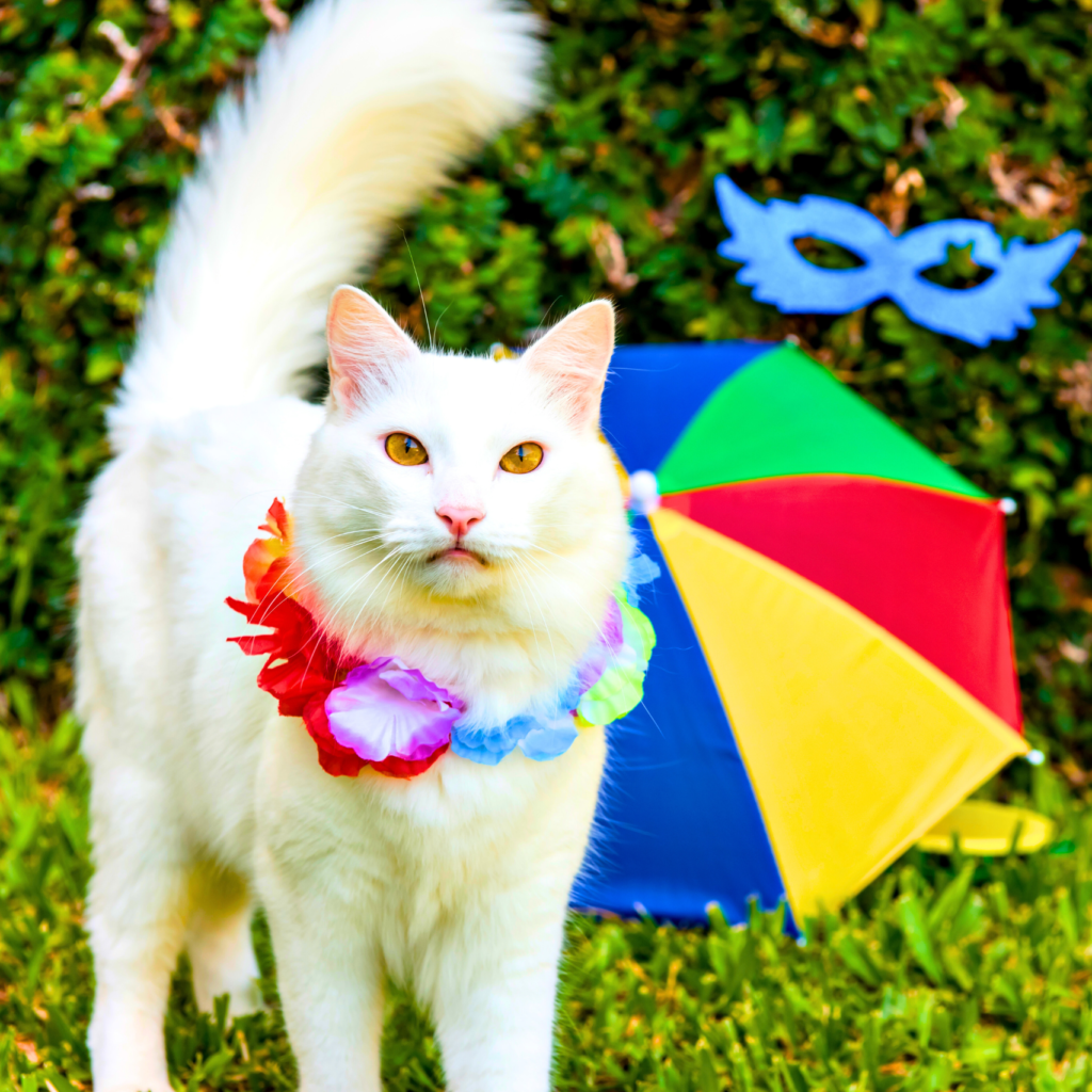 Cuidados com os Pets no Carnaval