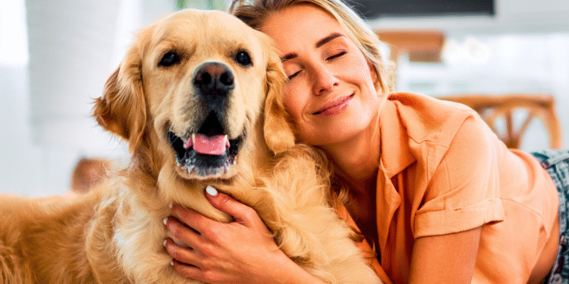 como interagir com os pets