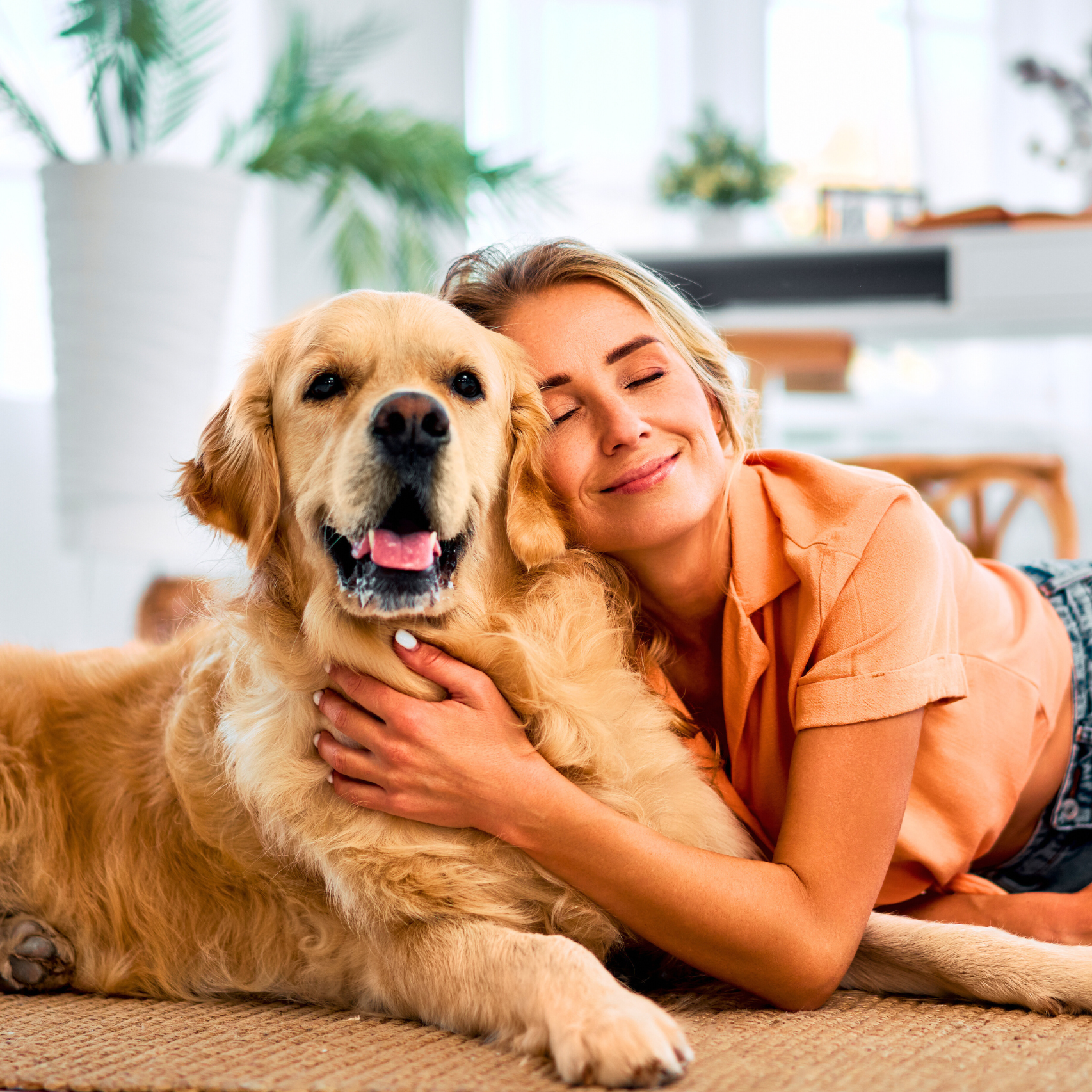 como interagir com os pets